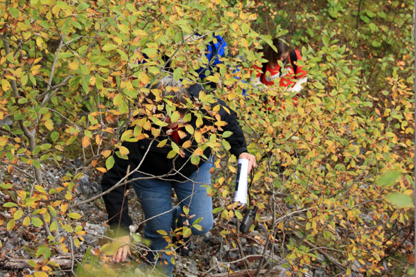 2013_09_29_Risnes-kalkverk_3_600.jpg